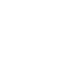 pdf icon